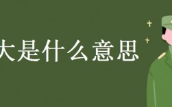 網大是什么意思
