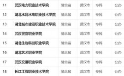 2024年武漢大專排名前十位