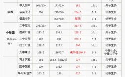 民族中學(xué)小升初錄取分?jǐn)?shù)線是多少？如何準(zhǔn)備？