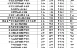 2024年新疆職業(yè)大學(xué)分?jǐn)?shù)線