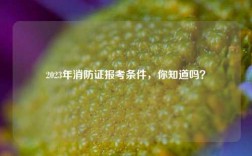 2023年消防證報考條件，你知道嗎？