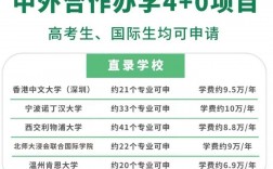 中外合作辦學(xué)4 0是什么意思