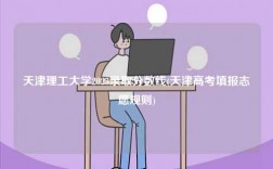天津理工大學(xué)2023錄取分?jǐn)?shù)線(天津高考填報(bào)志愿規(guī)則)
