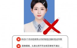 教資照片怎么看審核通過