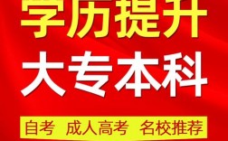 專科和本科哪個學歷高一點(大專 本科 專科的區別)