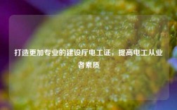 打造更加專業的建設廳電工證，提高電工從業者素質