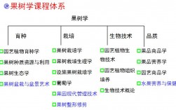 園藝專業(yè)學什么(現(xiàn)在學什么設(shè)計最吃香)