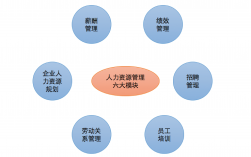 人力資源是什么職業