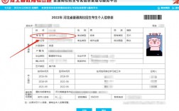 高考報名號怎么查