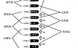司法警務屬于什么專業類別