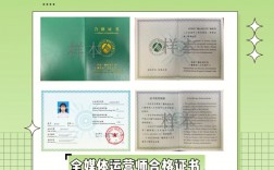 全媒體運營師答辯(運營師是干嘛的)