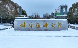 2025年安徽自考本科醫學助學加分唯一院?！霾横t科大學報名條件一覽