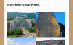 廣東考研容易上岸的學校專業