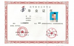 小學畢業可以自考什么學歷(初中沒讀完怎么提升學歷)