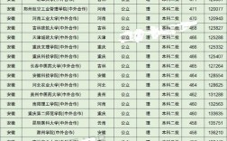 二本中外合作辦學的大學