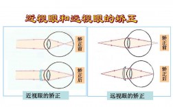 前視后視怎么區分