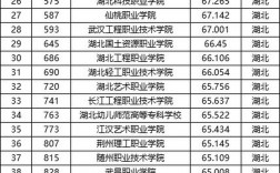 湖北的專科(湖北十大最好大專)