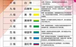 學跆拳道考級國家認可嗎