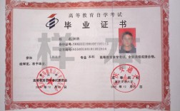 教育機構自考本科可信嗎