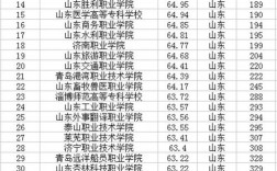山東職業(yè)學(xué)院排名(十大最好的職業(yè)院校)