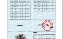 中專學歷網上能查到嗎(只有初中學歷怎么考大專)