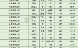 大連醫科大學什么檔次