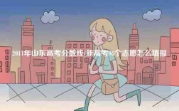 2011年山東高考分數線(新高考96個志愿怎么填報)