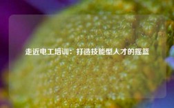 走近電工培訓：打造技能型人才的搖籃
