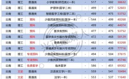 大理大學(xué)護(hù)理專業(yè)錄取分?jǐn)?shù)線