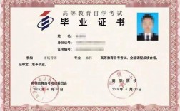 想要個大專文憑哪種最快(急需一個大專文憑多少天)