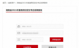湖南教育考試服務網jyt.hunan.gov.cn