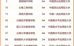 云南?？茖W(xué)校排行榜(云南最好的公辦大專)