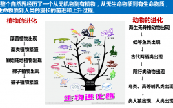 世界是可以被認識的認識是什么過程