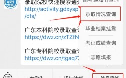 考生投檔錄取查詢系統(招生錄取查詢平臺)