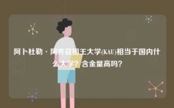 阿卜杜勒·阿齊茲國王大學(KAU)相當于國內什么大學？含金量高嗎？