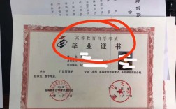 國家承認的五大文憑含金量(各種證書含金量排行榜)