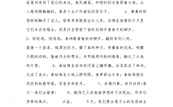 踏青的說說心情的句子(公司出游心得及感悟)