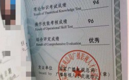 高級自媒體運營師(自媒體運營職業技能等級證書)