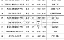 大專有什么專業(yè)可以選