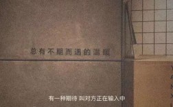 濱海中學(xué)的升學(xué)率如何？有哪些特色課程？