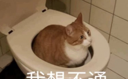 本科延畢但是考上研了(研究生報(bào)名條件)