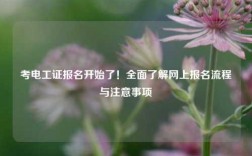 考電工證報(bào)名開始了！全面了解網(wǎng)上報(bào)名流程與注意事項(xiàng)