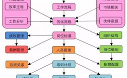 人力資源管理的基本職能有哪些(人力資源管理課程)