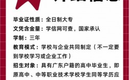 全日制大專報名入口官網www.neea.edu.cn