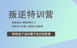 山西太原幾家本地區(qū)域不錯(cuò)的叛逆管教學(xué)校