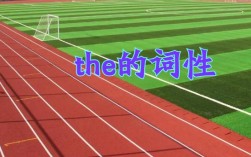 the屬于什么詞