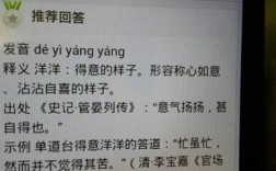 沾沾自喜什么意思