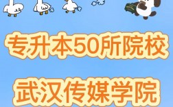 武漢傳媒學院專升本