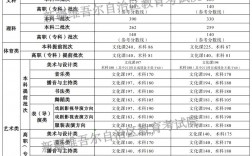 新疆2024高考分?jǐn)?shù)線公布