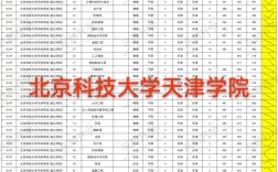 2024年北京科技大學(xué)天津?qū)W院排名